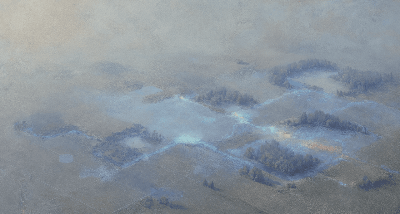 Aerial view of a habitat-patch landscape laced with movement corridors